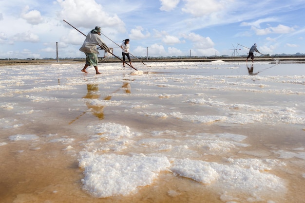 Montón de sal marina en la granja de producción de sal original hecha de agua salada del océano natural que se prepara para el último proceso antes de enviarla a los consumidores de la industria en la provincia de Samut Sakhon, Tailandia.