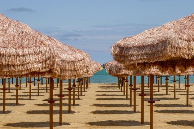 Un montón de sombrillas de paja en la playa