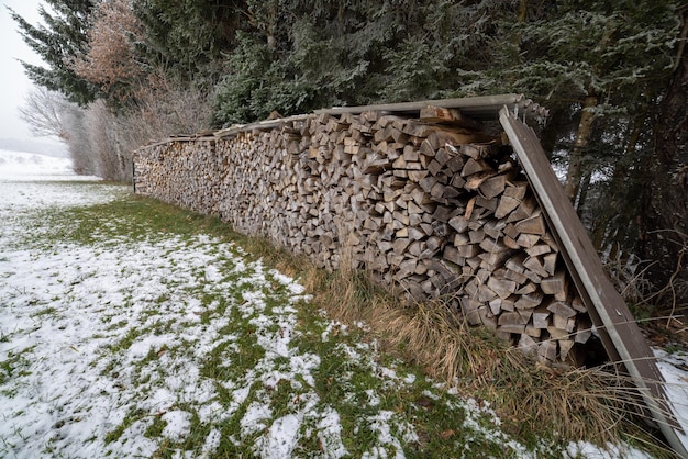 Un montón de troncos en el bosque de invierno