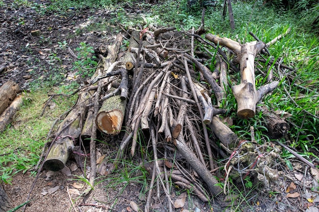 Montón de troncos cortados en pedazos en el suelo. Materiales para la industria, la construcción de una casa o leña.