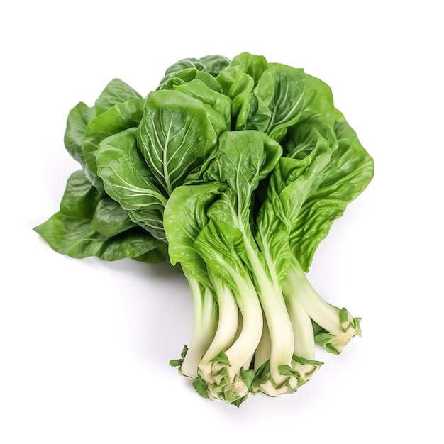 Un montón de vegetales verdes con la palabra bok choy en la parte superior.