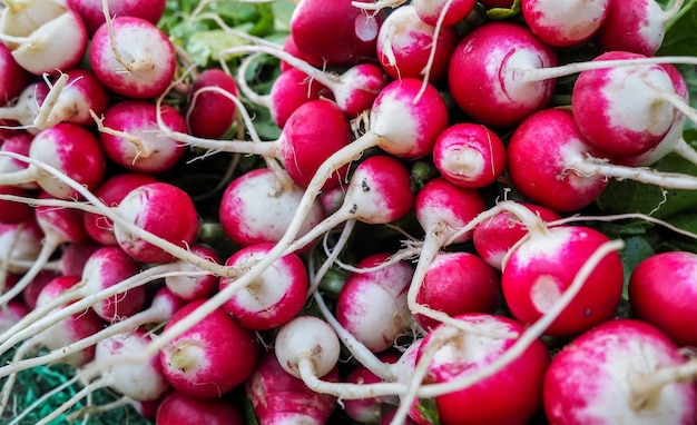 Foto un montón de verduras frescas de rábano rojo con hojas verdes expuestas en el mercado callejero. las frutas y verduras generalmente se venden en las calles de marruecos.