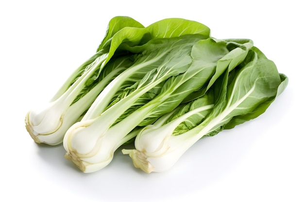 Un montón de verduras de hoja verde sobre un fondo blanco.