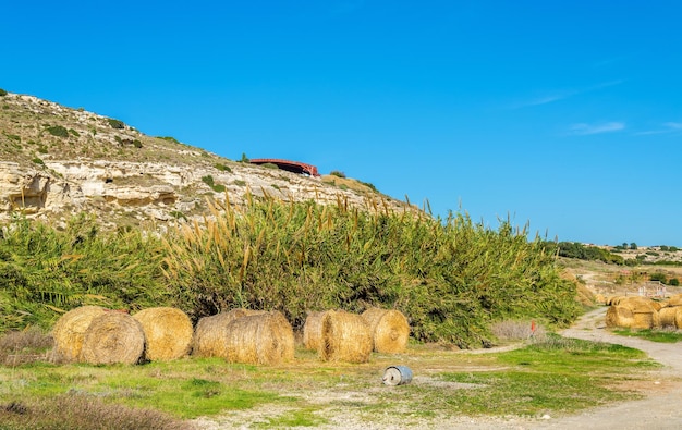 Foto montones de heno al pie del monte kourion, en chipre