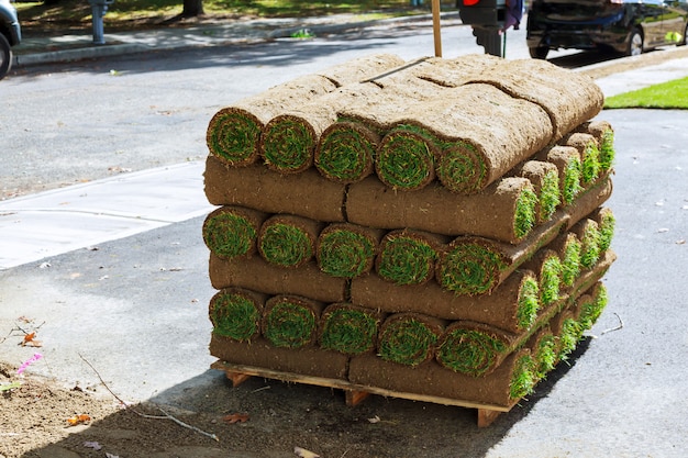 Montones de rollos de césped para césped nuevo