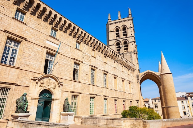 Montpellier-Saint-Pierre-Kathedrale Frankreich