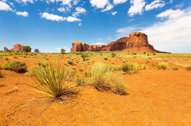 Monument Valley National Tribal Park Panorama
