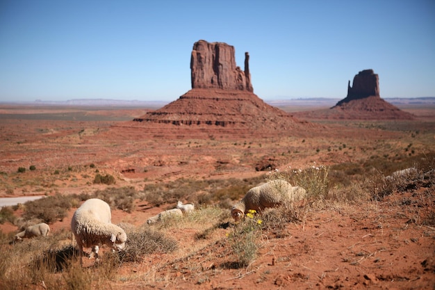 Monument Valley, UtahArizona, USA