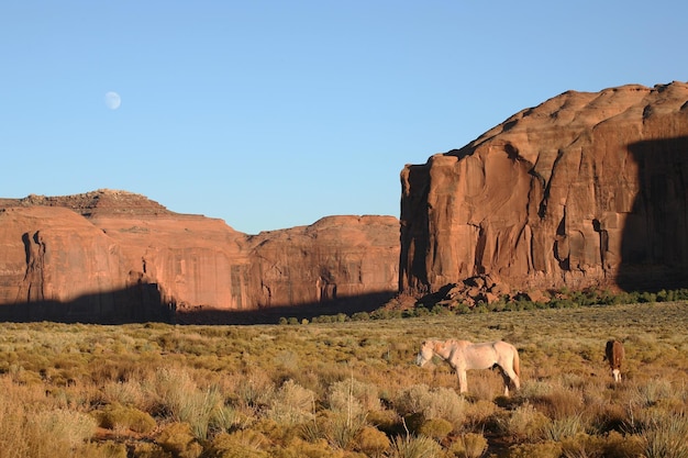 Monument Valley, UtahArizona, USA