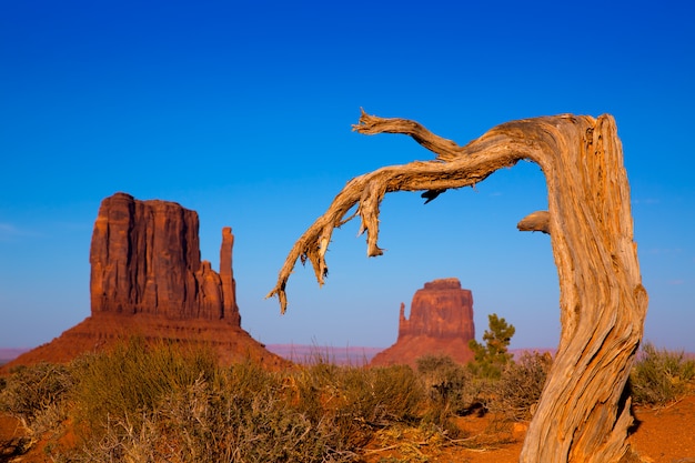 Monument Valley West und East Fäustlinge Butte Utah