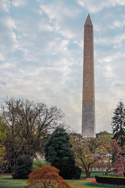 Foto monumento a washington na primavera. washington, dc, eua