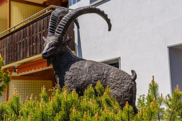 Monumento de cabra em davos em graubuenden suíça