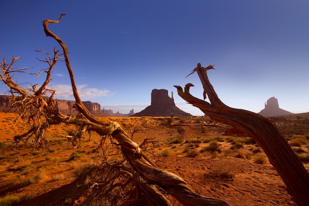 Foto monumento oeste mitten butte na manhã utah