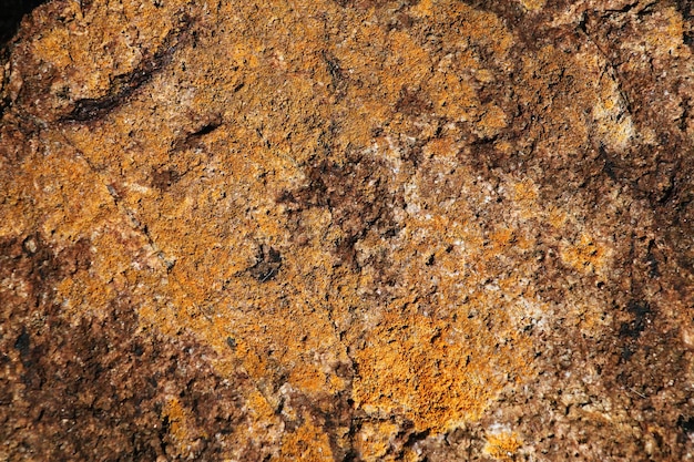 Moosiger Felshintergrund. Moosige Felsstruktur