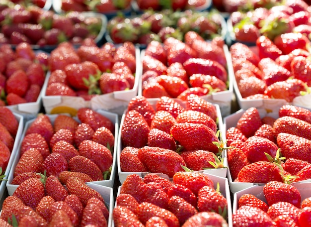 Morango fresco nas cestas em um mercado