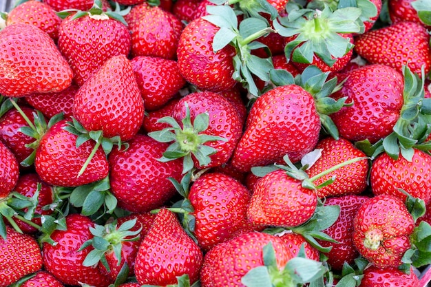 Morango. Macro de frutas orgânicas frescas. Fundo de frutas