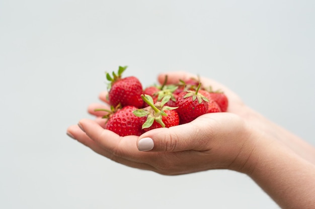 morango nas mãos no fundo branco frutas da estação de verão frutas vermelhas lugar para texto isolado
