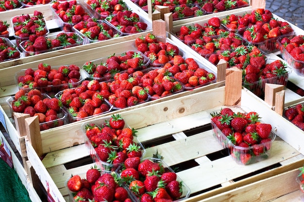 Morangos para venda em pequenas caixas em um mercado