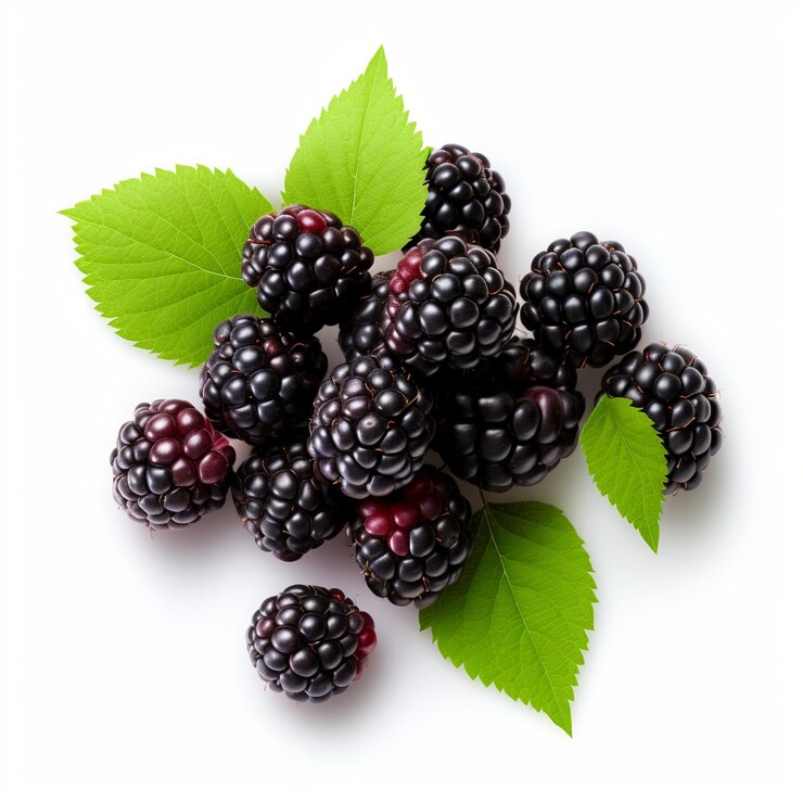 Foto moras con algunas hojas de moras