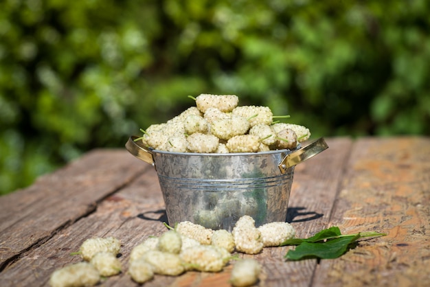 moras blancas