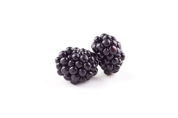 Moras en un blanco aislado