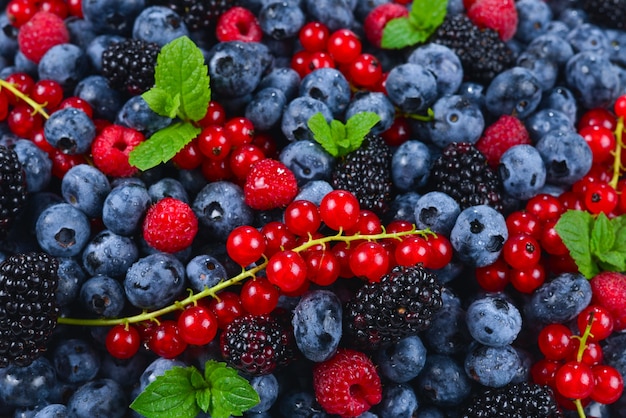 Moras, frambuesas, arándanos, grosellas rojas y menta