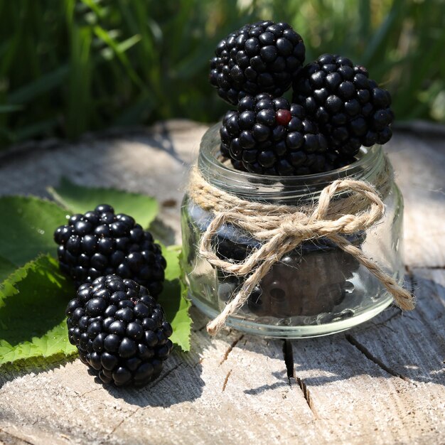 Foto moras frescas en el bosque de verano