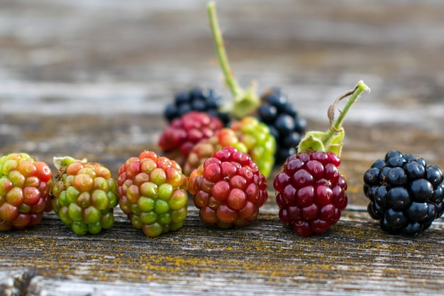 Moras frescas sobre fondo de madera rústica