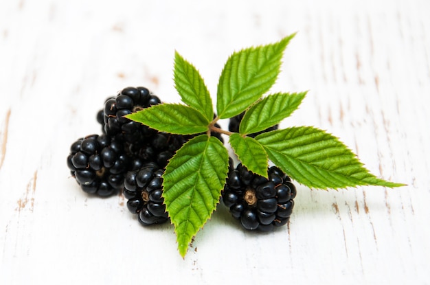 Moras frescas