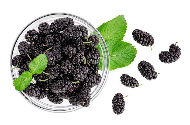 Moras con hojas de menta aisladas sobre superficie blanca con trazado de recorte. Vista superior