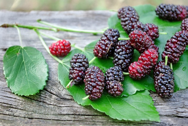 moras con hojas sobre una mesa de madera