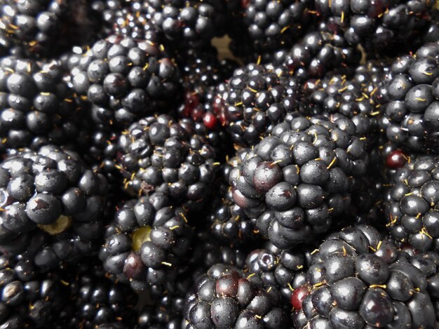 Moras maduras frescas sobre un fondo negro