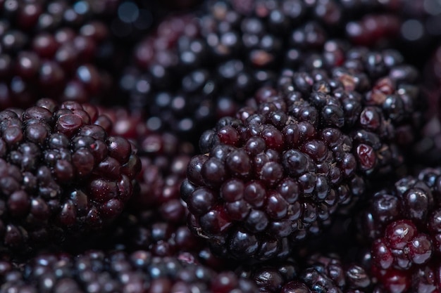 Moras recién cosechadas en un plato blanco