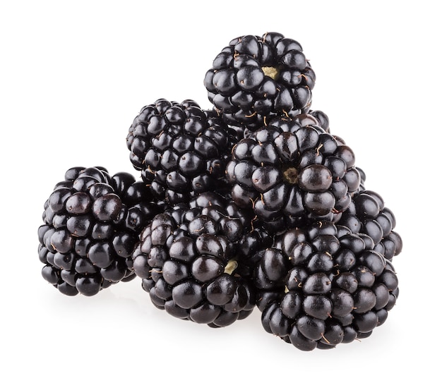 Moras