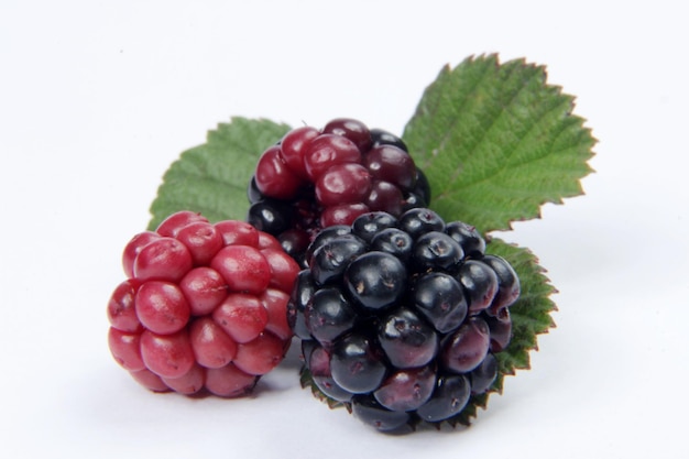 Moras