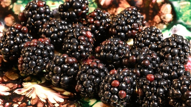 Foto moras