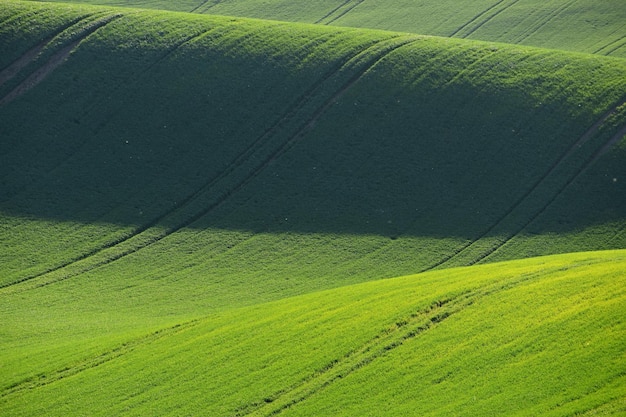 Morávia Toscana bela paisagem de primavera no sul da Morávia, perto da cidade de Kyjov, República Checa, Europa
