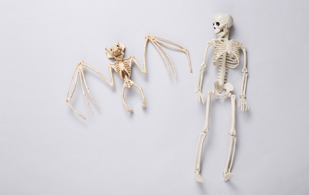 Morcego assustador e esqueleto em uma decoração de Halloween de fundo cinza