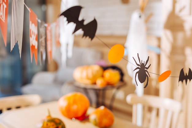 Morcegos e aranhas. Pequenos morcegos e aranhas feitos de papel usados como enfeites de Halloween para crianças pequenas