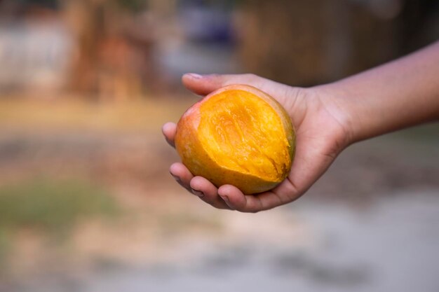 Mordedura de mango de mano sobre fondo borroso Enfoque selectivo con poca profundidad de campo