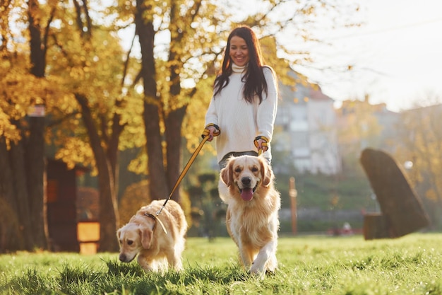 Morena camina con dos perros Golden Retriever en el parque durante el día