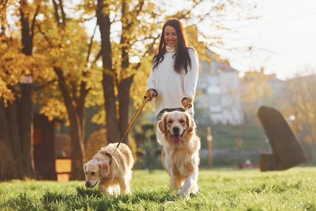 Morena caminha com dois cães Golden Retriever no parque durante o dia