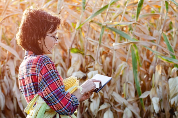 Morena de mediana edad trabajadora agrícola caucásica en gafas con tableta digital inspeccionando el campo de maíz día soleado de verano