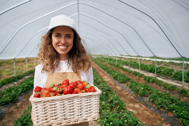 Morena rizada con cesta de fresas en invernadero