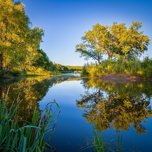 Morgen an der Flussküste spiegelten sich Bäume im kristallklaren Wasser am Fluss über dem Wassernebel.