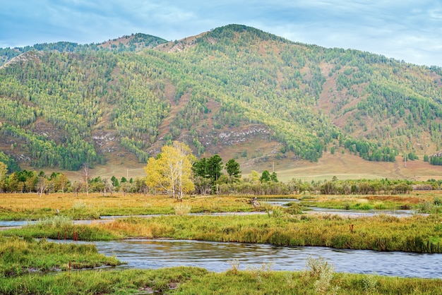 Morgen Berglandschaft. Herbst im Karakol River Valley, Altai-Gebirge, Russland