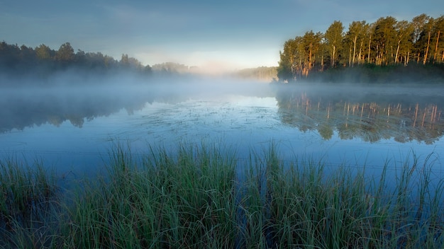 Morgen frischer Nebel auf dem See. Sommerlandschaft bei Sonnenaufgang