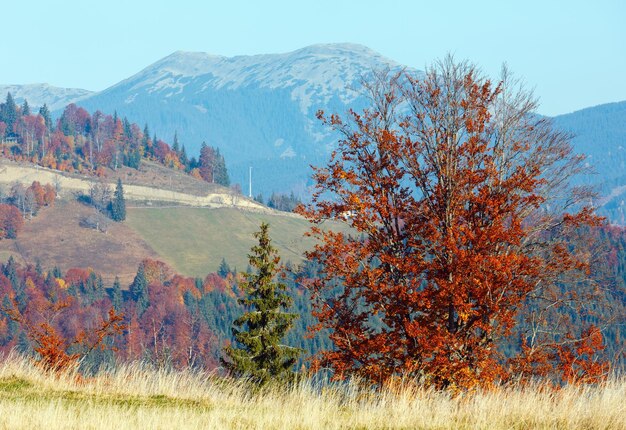 Morgen Herbst Landschaft der Karpaten