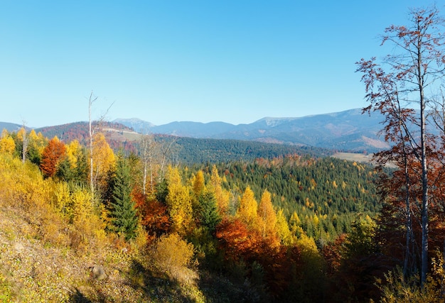 Morgen Herbst Landschaft der Karpaten