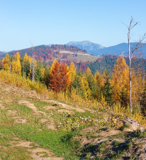 Morgen Herbst Landschaft der Karpaten